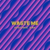 Waste Me - Single