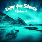 Enjoy the Silence, Vol. 4 artwork