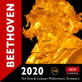 Symphony No. 7 in A Major, Op. 92: II. Allegretto artwork