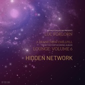 Hidden Network artwork