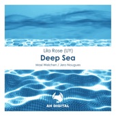 Deep Sea artwork
