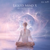 Liquid Mind - Meditation, Pt. 1