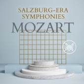 Symphony No. 29 in A Major, K.201/186a: II. Andante artwork