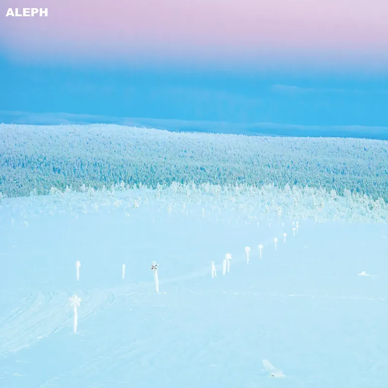 ALEPH - Love Lost - Single (2023) [iTunes Plus AAC M4A]-新房子