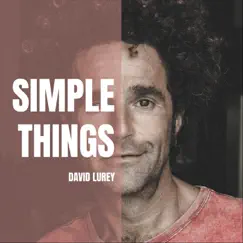 Simple Things - Single by David Lurey album reviews, ratings, credits