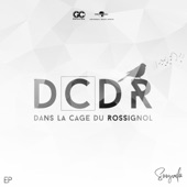 DCDR (Épisode 1) artwork