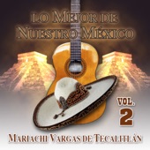 Mariachi Vargas de Tecalitlán - El Son De La Negra