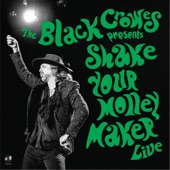 Shake Your Money Maker (Live) artwork