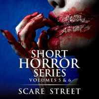 Scare Street, Ron Ripley, Sara Clancy, Rowan Rook & David Longhorn - Short Horror Stories Volumes 5 & 6: Scary Ghosts, Monsters, Demons, and Hauntings (Unabridged) artwork