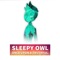 Once Upon a Truthful - Sleepy Owl lyrics