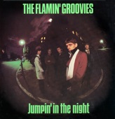 Flamin' Goovies - Jumpin In the Night