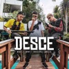 Desce - Single (feat. YOUNG MIKE, Jaya, Freelipe & Greezy) - Single