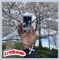 Really Again (feat. TracyDeuce) - Lyfe Kodomo lyrics
