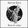 Espíritus Afines - Single