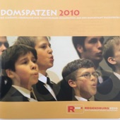 Domspatzen 2010 - Die schönste Chormusik der Regensburger Domspatzen aus der Musikstadt Regensburg artwork