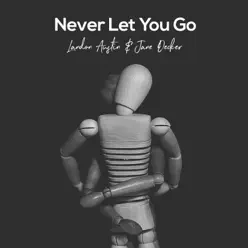 Never Let You Go (feat. Jane Decker) [Acoustic] [Acoustic] - Single - Landon Austin