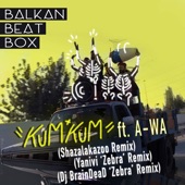 Kum Kum (Shazalakazoo Remix) artwork