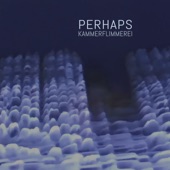 Perhaps (feat. Kammerflimmerei) artwork