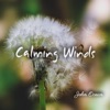 Calming Winds - EP