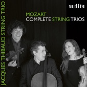 Wolfgang Amadeus Mozart: String Trios artwork