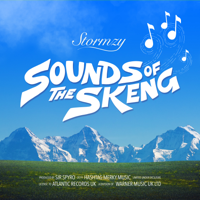 Stormzy - Sounds of the Skeng artwork