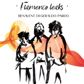 Flamenco Leaks artwork
