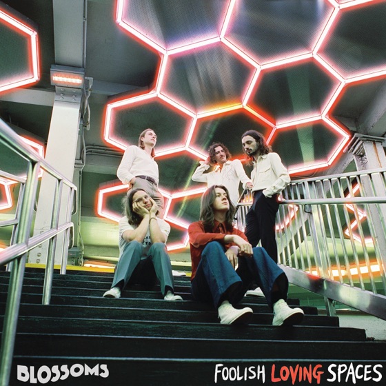 Cover artwork for Falling for Someone
