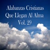 Alabanzas Cristianas Que Llegan al Alma, Vol. 29