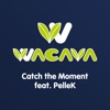 Catch the Moment feat. PelleK by WACAVA