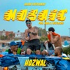 Hozwal - Mosaic