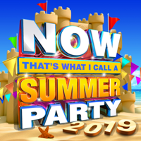 Various Artists - NOW That's What I Call Summer Party 2019 artwork