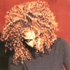 The Velvet Rope artwork