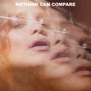 baixar álbum Agnes - Nothing Can Compare