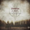 In My Dreams - Single