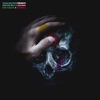S$S $quid - Re Rock