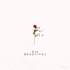 Die Beautiful - Single