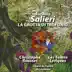 Salieri: La grotta di trofonio album cover