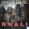 Nkali - Single album lyrics, reviews, download