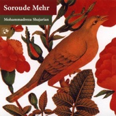 Soroude Mehr artwork