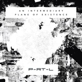 An Intermediary Plane of Existence (feat. Zeven Leven, Micol Danieli, Frame Six, D-Leria, Anouk De Vos & Daniel Kane) artwork
