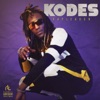 Kodes by Rapleader iTunes Track 1