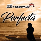Banda Los Recoditos - Perfecta