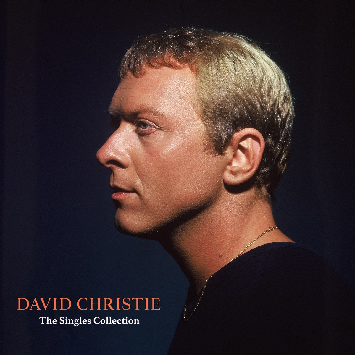 The Singles Collection by David Christie on Apple Music