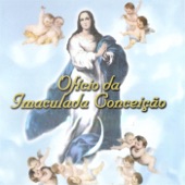 Ofício da Imaculada Conceição artwork