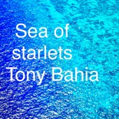 Sea of Starlets artwork