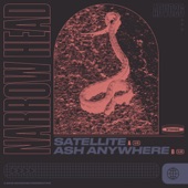 Narrow Head - Satellite