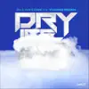 Dry Ice (feat. Young Noah) - Single album lyrics, reviews, download