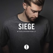 Toolroom Family (DJ Mix) artwork