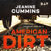 Jeanine Cummins - American Dirt artwork