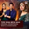 Tere Bina Mein Nahi (Original Soundtrack) - Single